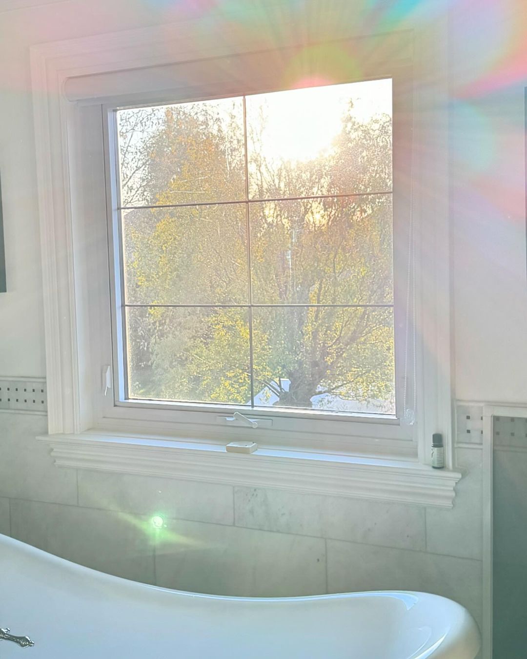 Snapinsta.app_417968859_646971914105612_5757180836012563967_n_1080